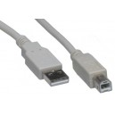 A to B USB Cable