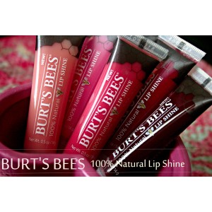 Burt's Bees Lip Shine 75pc Assortment Jar